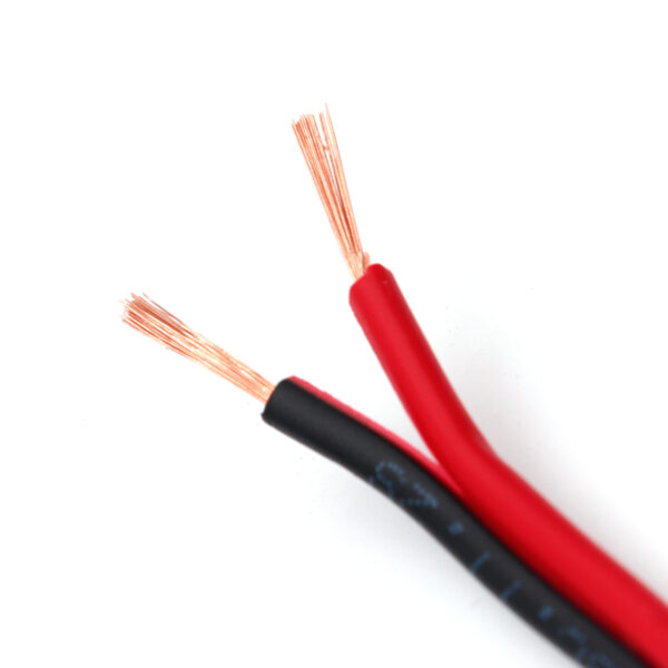 Speaker cable